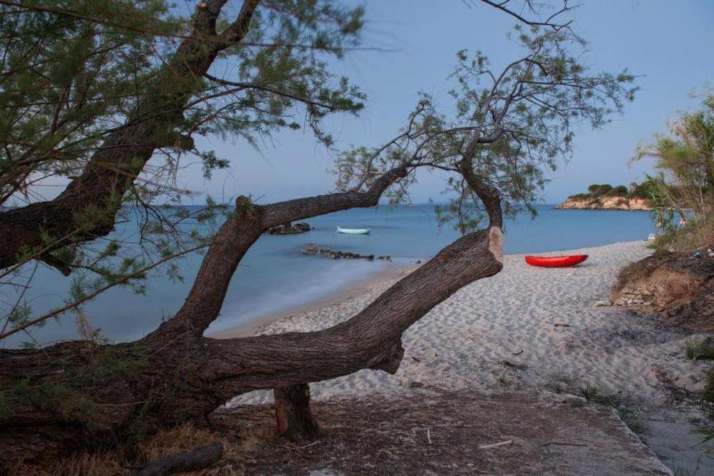 Sea View Studio At Xenios Avlais Alykanas  Luaran gambar